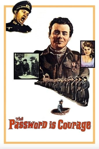 Movie poster for The Password Is Courage