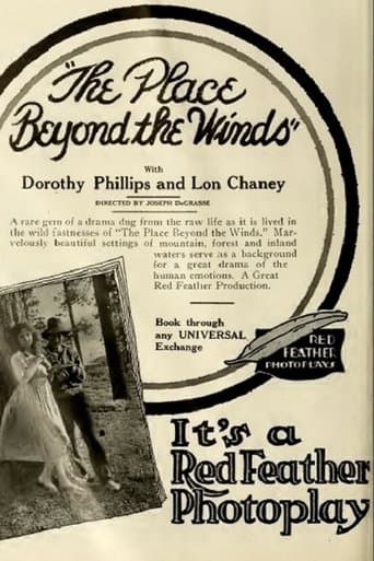 Movie poster for The Place Beyond the Winds