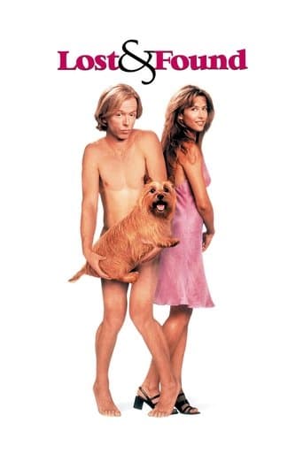 Movie poster for Lost & Found