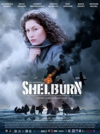 Movie poster for Le réseau Shelburn