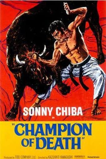 Movie poster for Karate Bullfighter