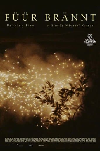 Movie poster for Burning Fire