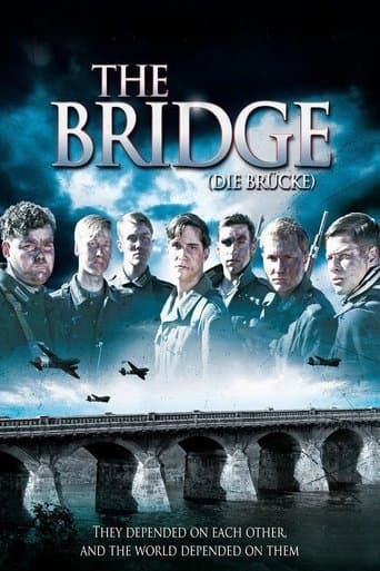 Movie poster for The Bridge