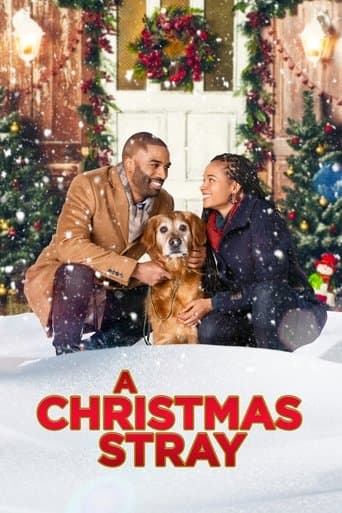 Movie poster for A Christmas Stray