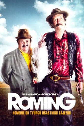 Movie poster for ROMing
