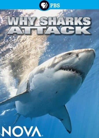 Movie poster for Why Sharks Attack