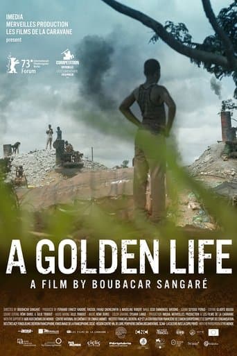 Movie poster for A Golden Life