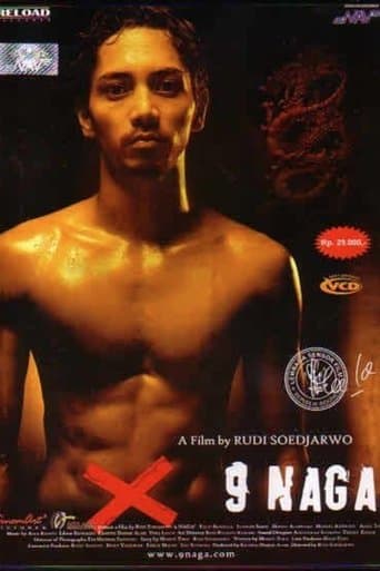 Movie poster for The Nine Dragon