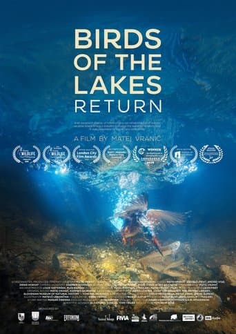 Movie poster for Birds of the Lakes Return