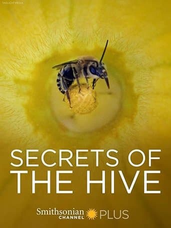 Movie poster for Secrets of the Hive