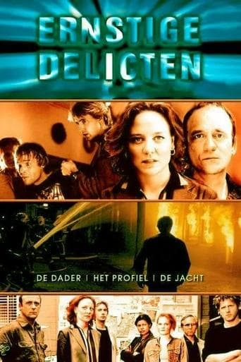 Movie poster for Ernstige Delicten