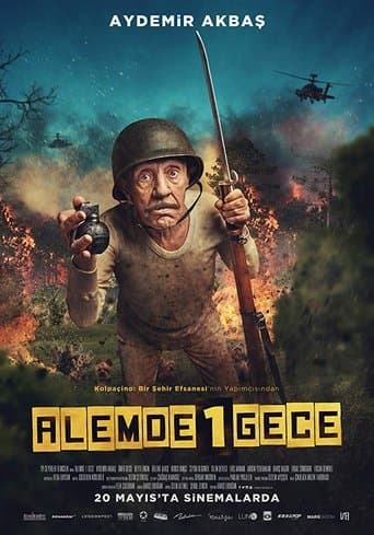 Movie poster for Alemde Bir Gece