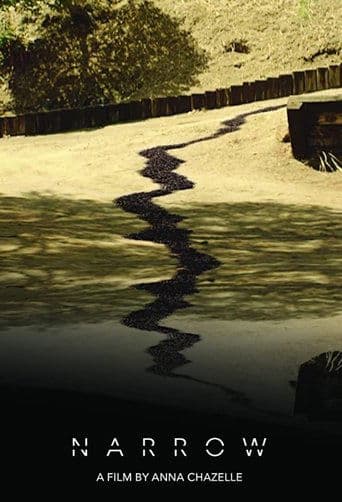 Movie poster for Narrow