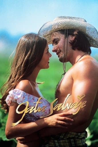 Movie poster for Wild Cat