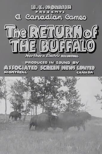 Movie poster for Return of the Buffalo