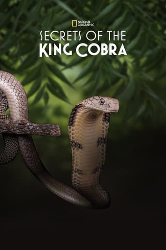 Movie poster for Secrets of the King Cobra