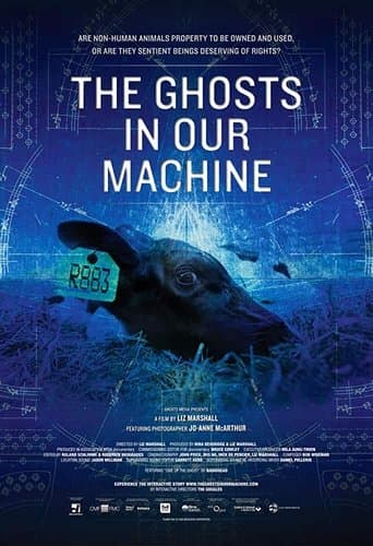 Movie poster for The Ghosts in Our Machine