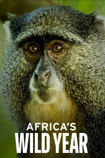 Movie poster for Africa's Wild Year