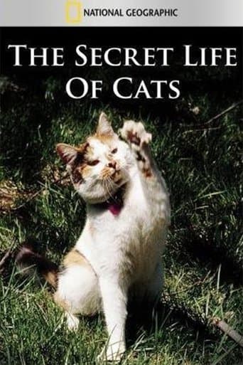 Movie poster for The Secret Life of Cats
