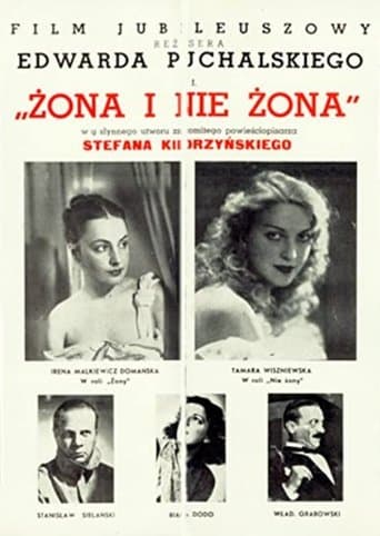 Movie poster for Wife and Not Wife