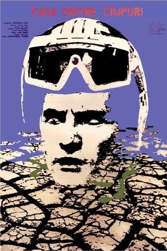 Movie poster for The House Between the Fields