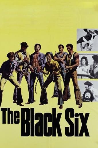 Movie poster for The Black Six