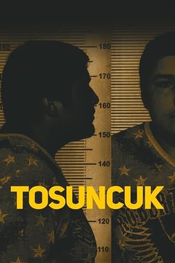 Movie poster for Tosuncuk