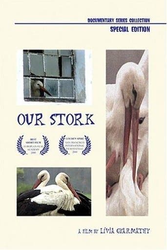 Movie poster for Our Stork