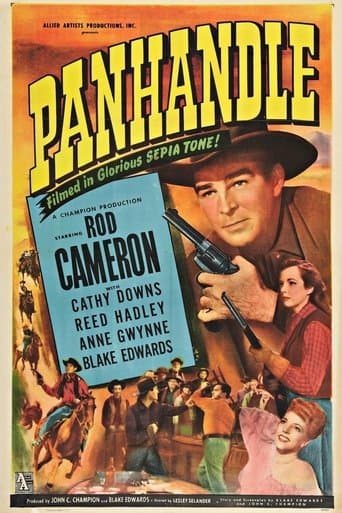 Movie poster for Panhandle