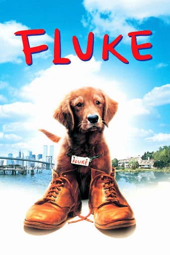 Movie poster for Fluke