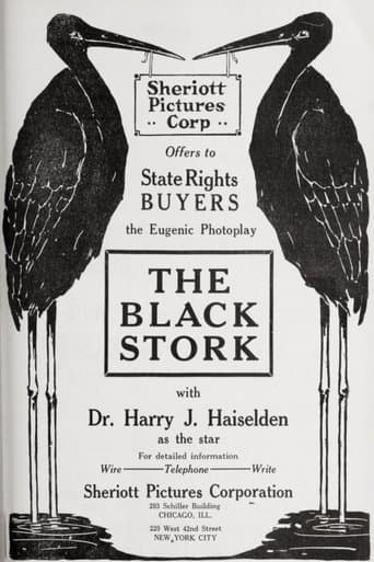 Movie poster for The Black Stork