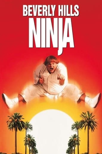Movie poster for Beverly Hills Ninja