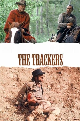 Movie poster for The Trackers