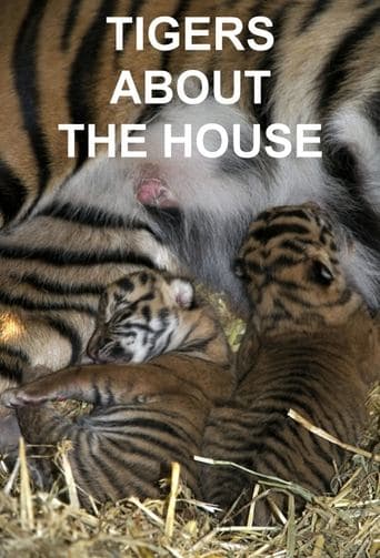 Movie poster for Tigers About the House
