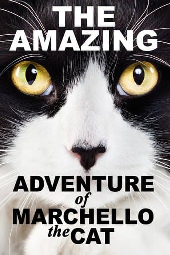 Movie poster for Cats: The Movie!