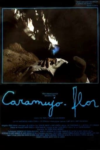 Movie poster for Caramujo-Flor