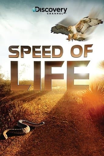Movie poster for Speed of Life