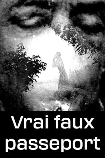 Movie poster for Vrai faux passeport