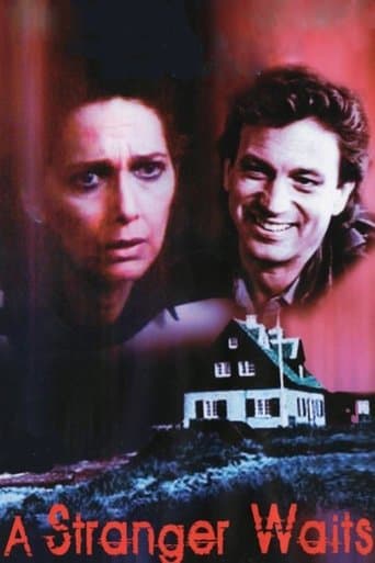 Movie poster for A Stranger Waits