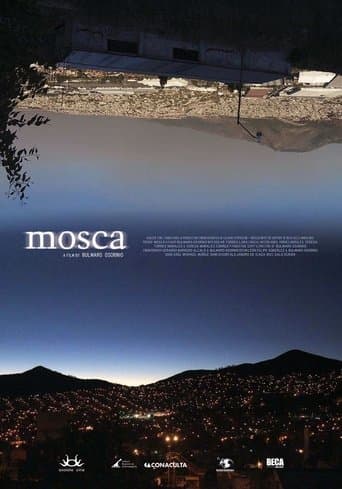 Movie poster for Fly