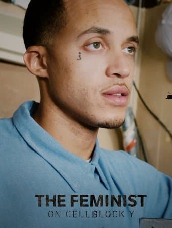 Movie poster for The Feminist on Cellblock Y