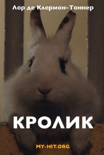 Movie poster for Rabbit
