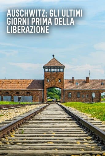 Movie poster for Auschwitz: Countdown to Liberation