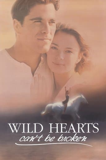 Movie poster for Wild Hearts Can't Be Broken