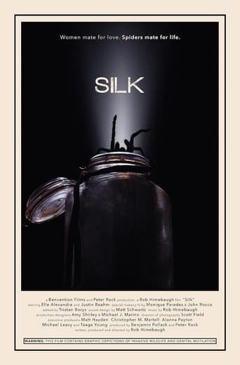 Movie poster for Silk