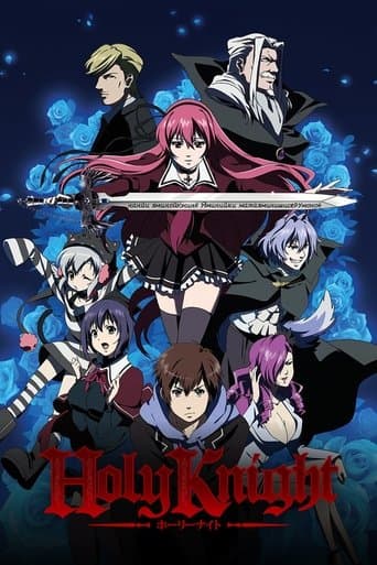 Movie poster for Holy Knight