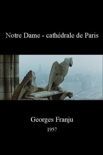 Movie poster for Notre Dame, cathédrale de Paris