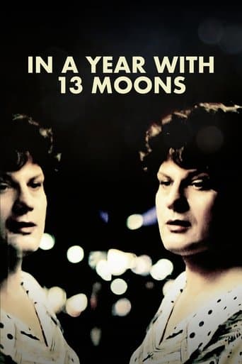 Movie poster for In a Year with 13 Moons