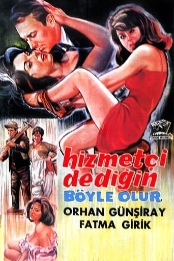 Movie poster for Hizmetçi Dediğin Böyle Olur