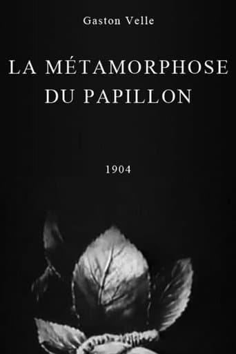 Movie poster for Metamorphosis of a Butterfly